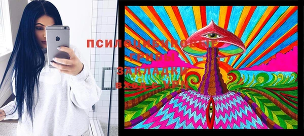 кристаллы Бородино