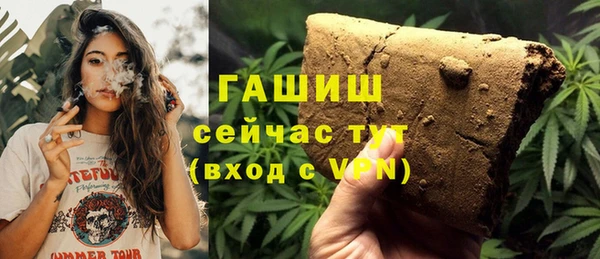 скорость Болотное