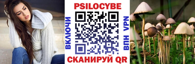 Псилоцибиновые грибы мицелий  маркетплейс наркотические препараты  Голицыно 