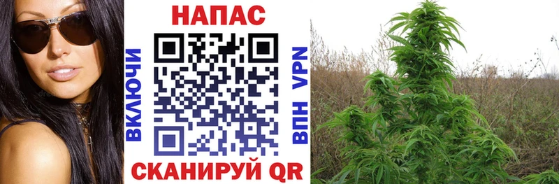блэк спрут ONION  хочу   Голицыно  Бошки Шишки LSD WEED 